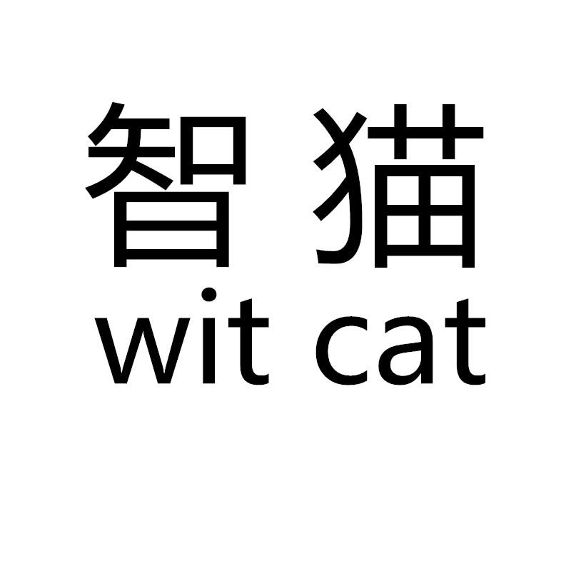 智猫 WIT CAT