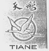 天鹅