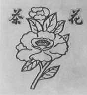 茶花