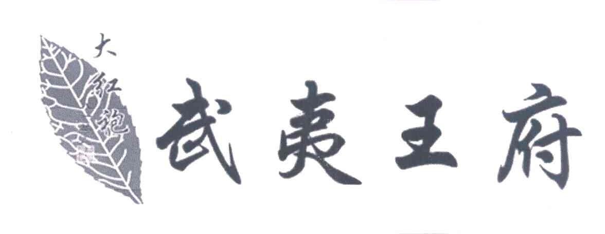 武夷王府;大红袍