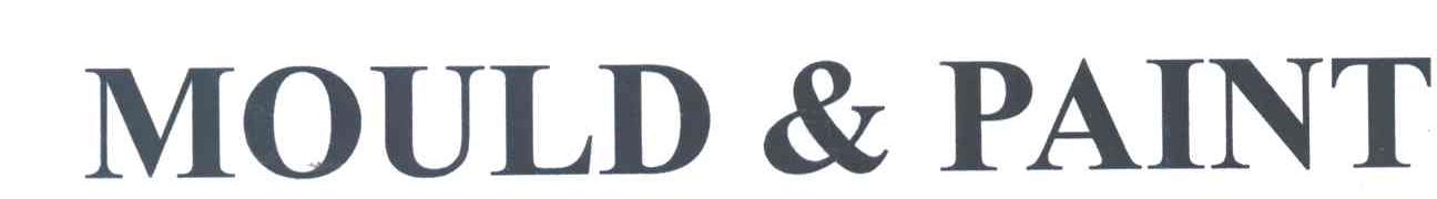 MOULD & PAINT