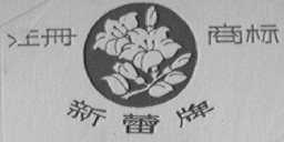 新蕾