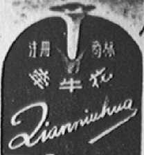 牵牛花