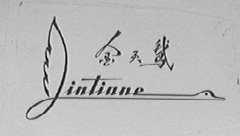 金天鹅