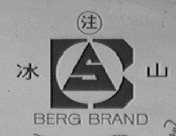 冰山 BERG
