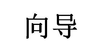 向导
