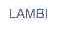 LAMBI