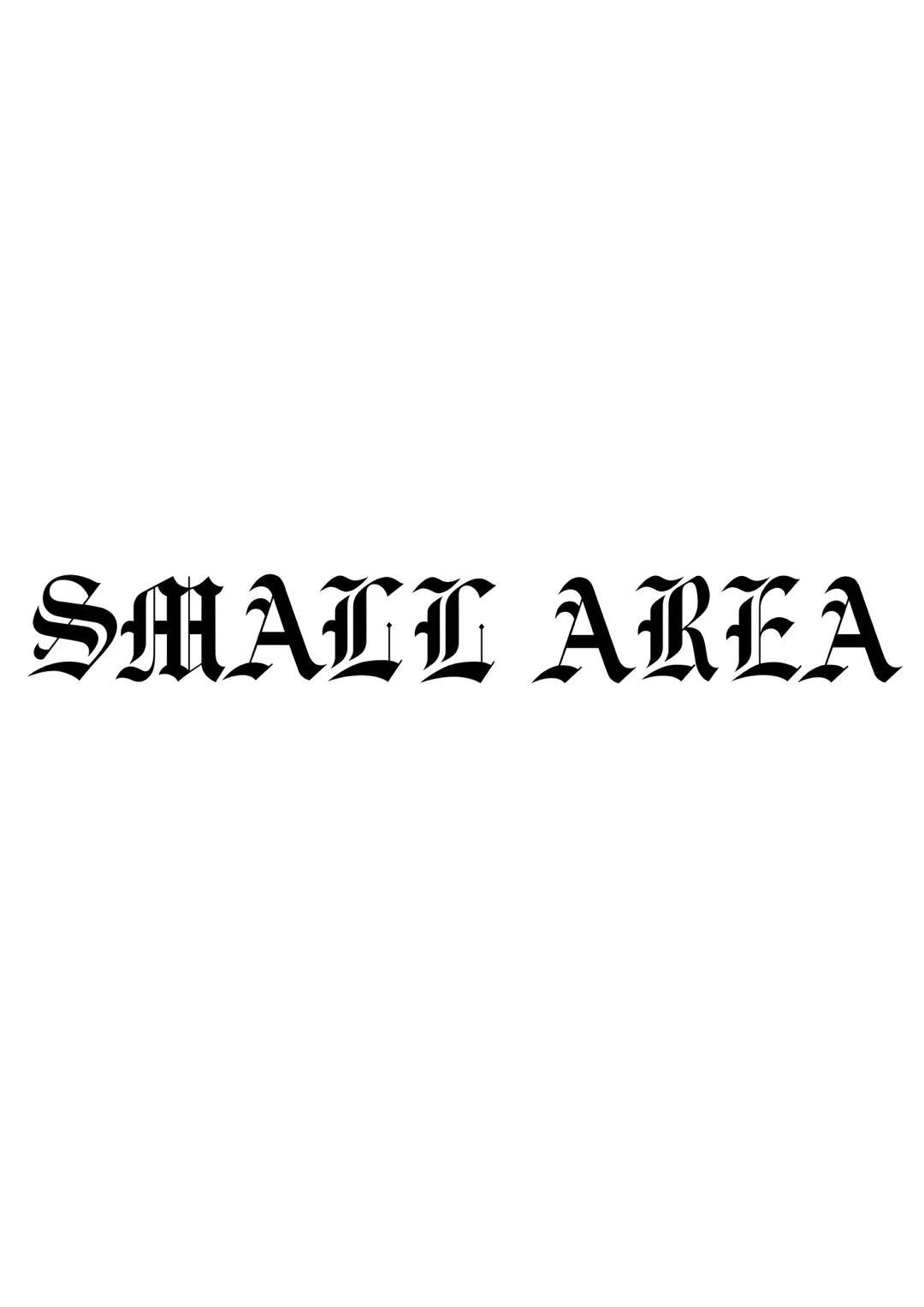 SMALL AREA