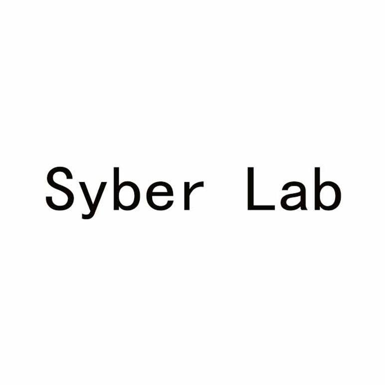SYBER LAB