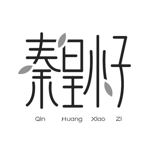 秦皇小子