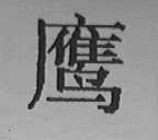 鹰