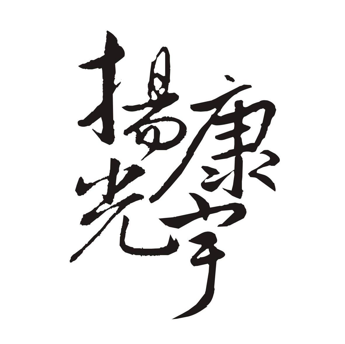 扬康光宇