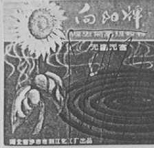 向阳