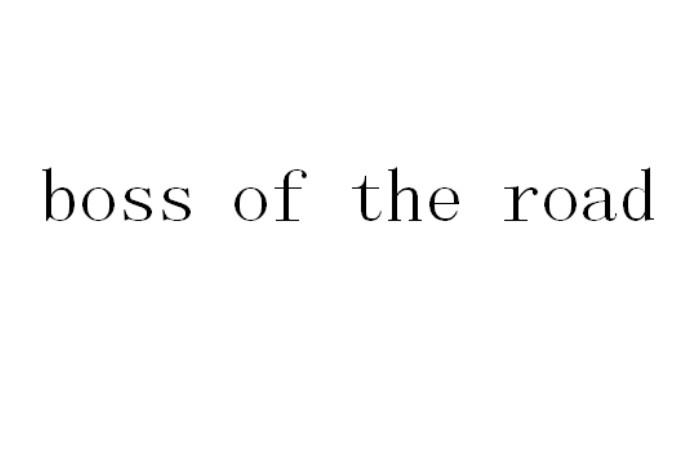 BOSS OF THE ROAD