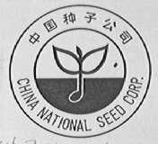 中字