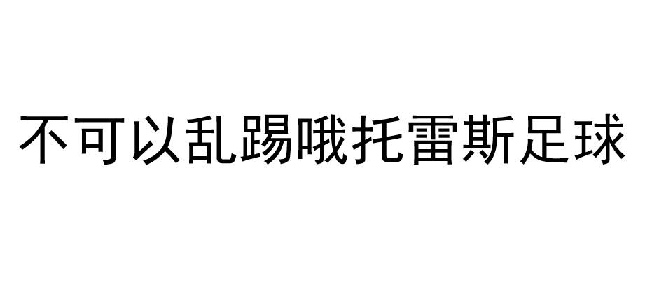 不可以乱踢哦托雷斯足球
