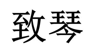 致琴