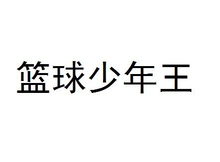 篮球少年王