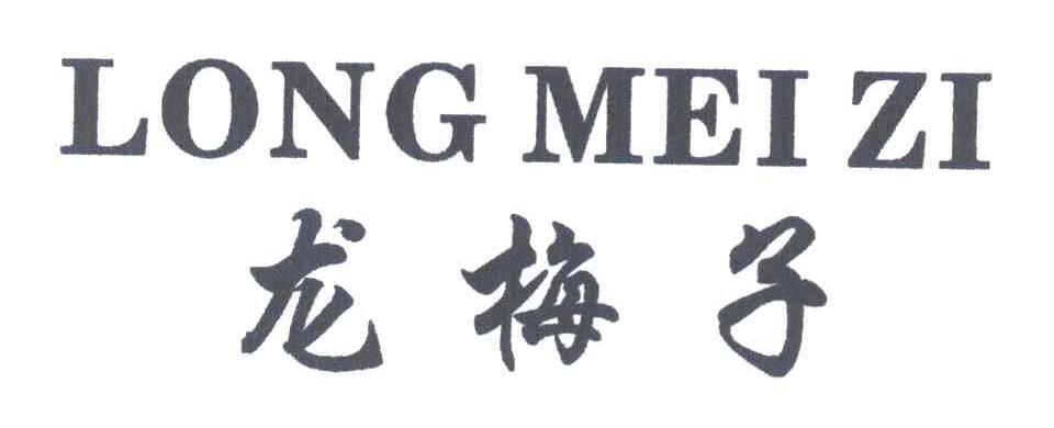 龙梅子