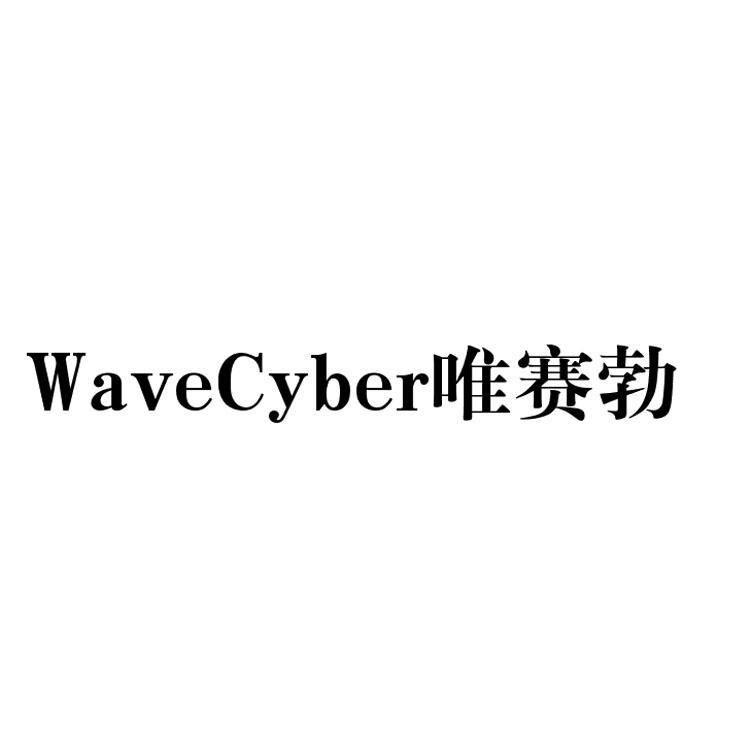 WAVECYBER 唯赛勃