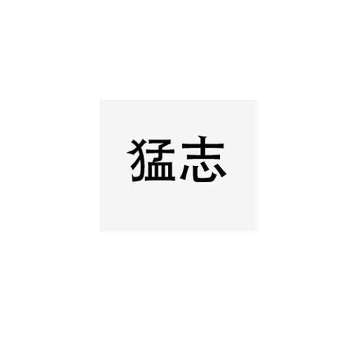 猛志