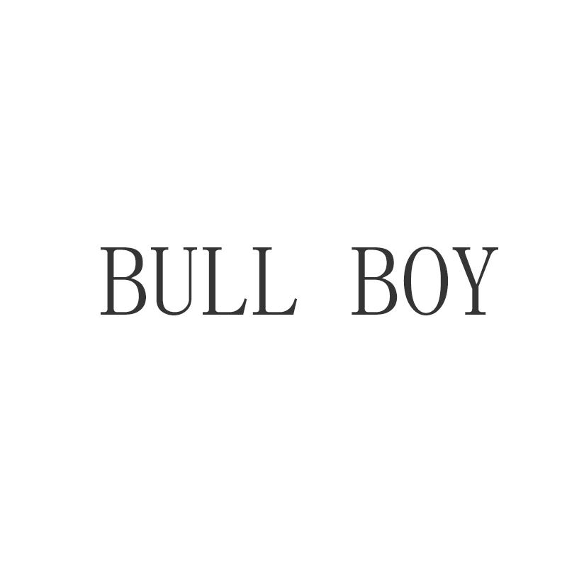 BULL BOY