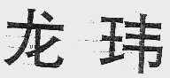 龙玮