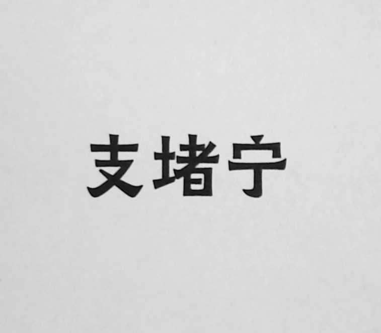 支堵宁
