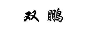 双鹏