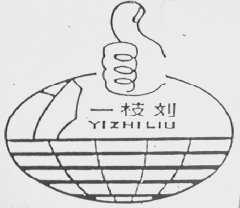 一枝刘