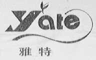 雅特