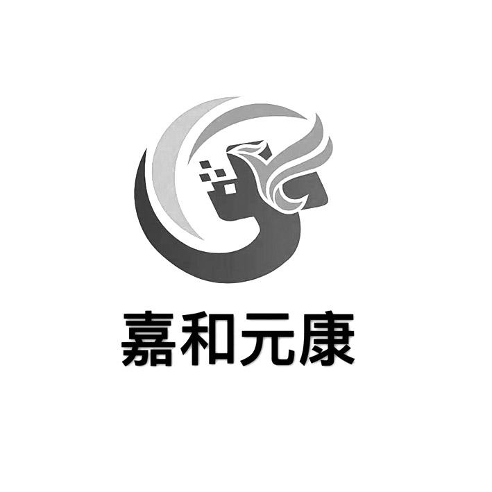 嘉和元康