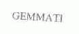 GEMMATI