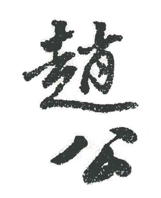 赵公
