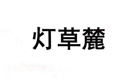 灯草麓
