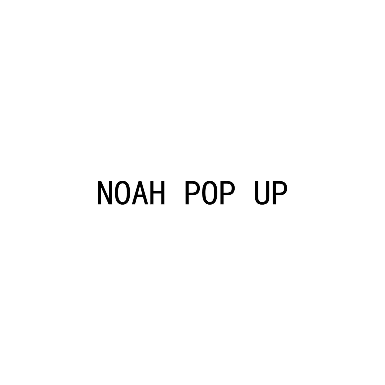 NOAH POP UP