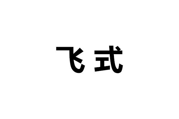 飞式