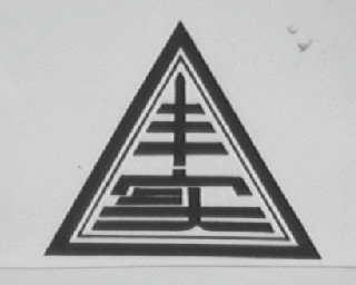 丰实