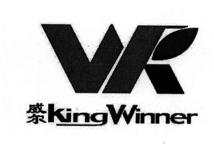 威尔;KING WINNER