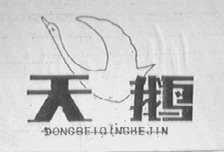 天鹅