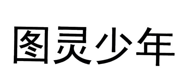 图灵少年