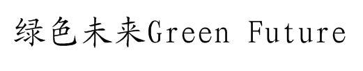 绿色未来 GREEN FUTURE