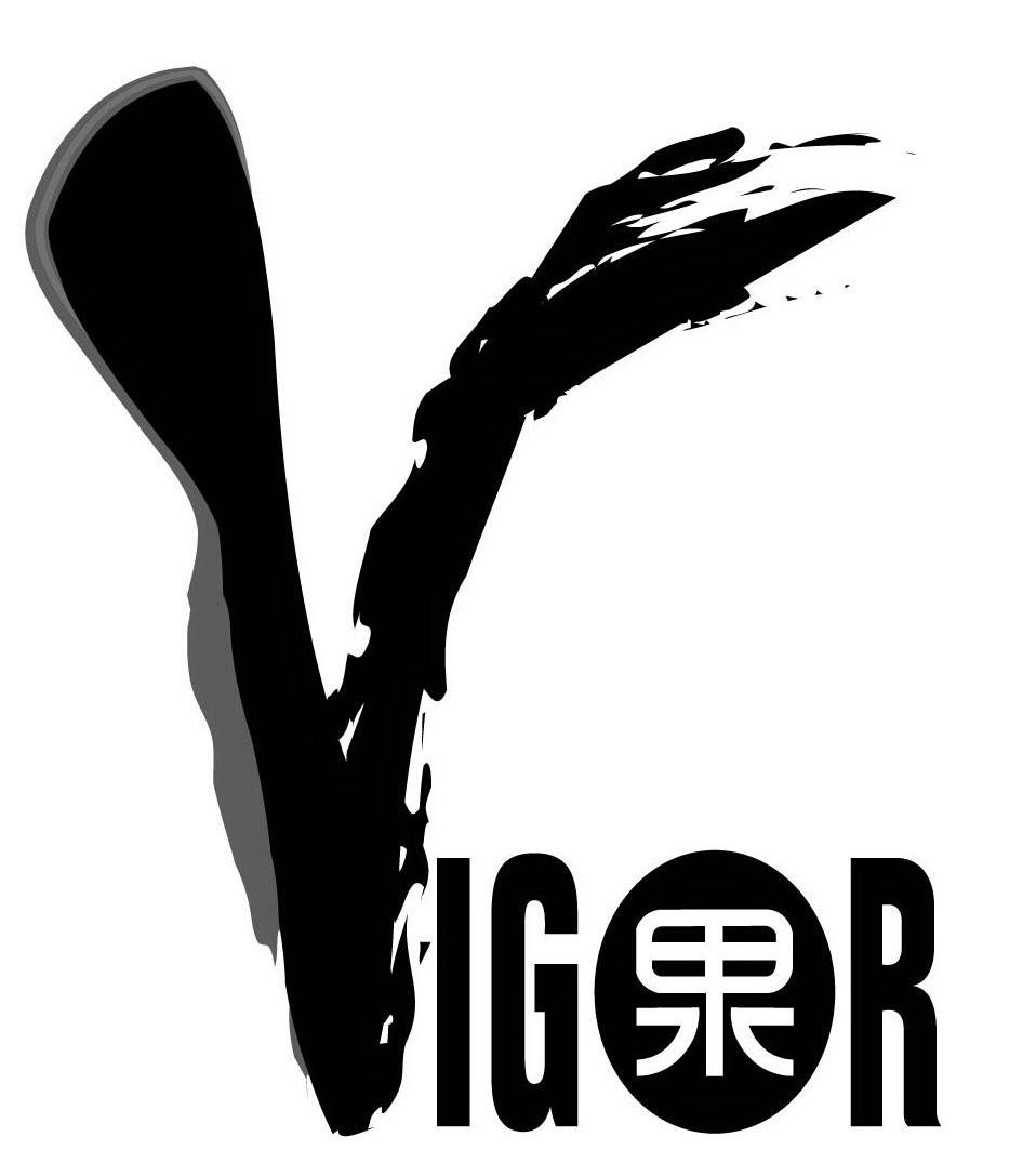 果 VIGOR