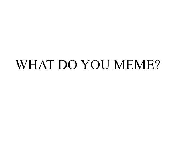 WHAT DO YOU MEME?