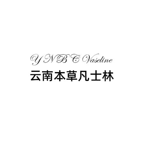 云南本草凡士林 YNBC VASELINE