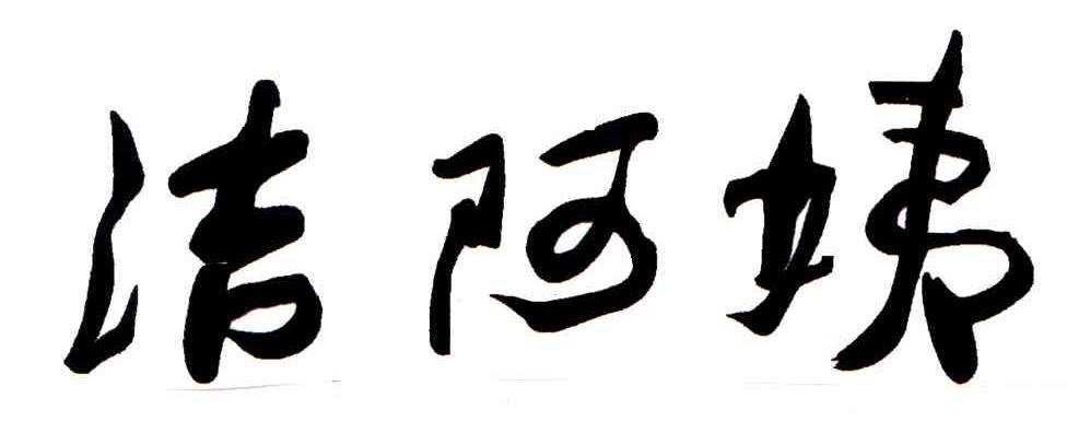 洁阿姨