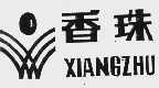龙波宝