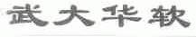 武大华软