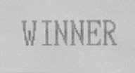 WINNER
