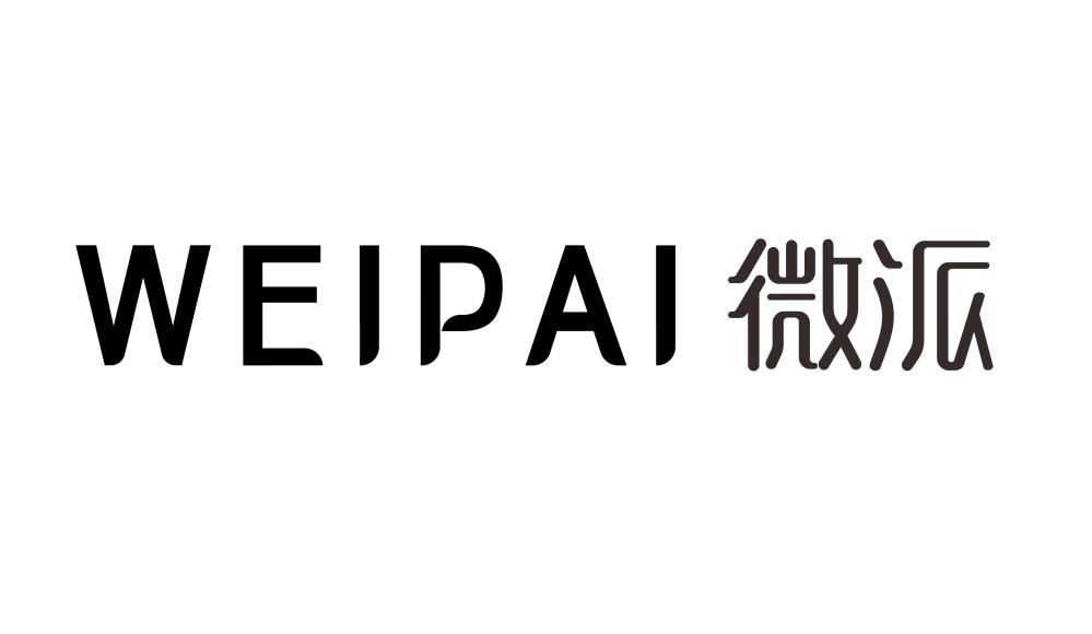 微派